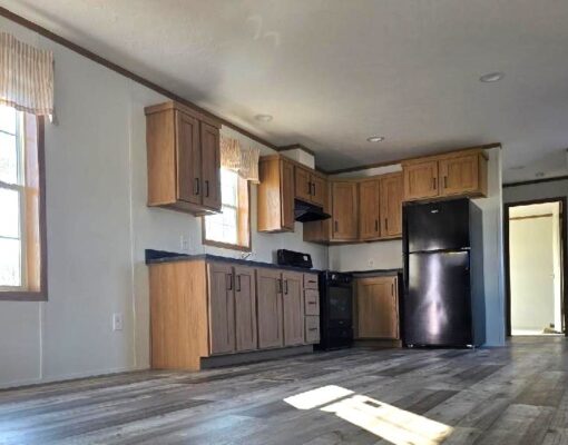 Colony Winter Special – DS1018-P Featured Image